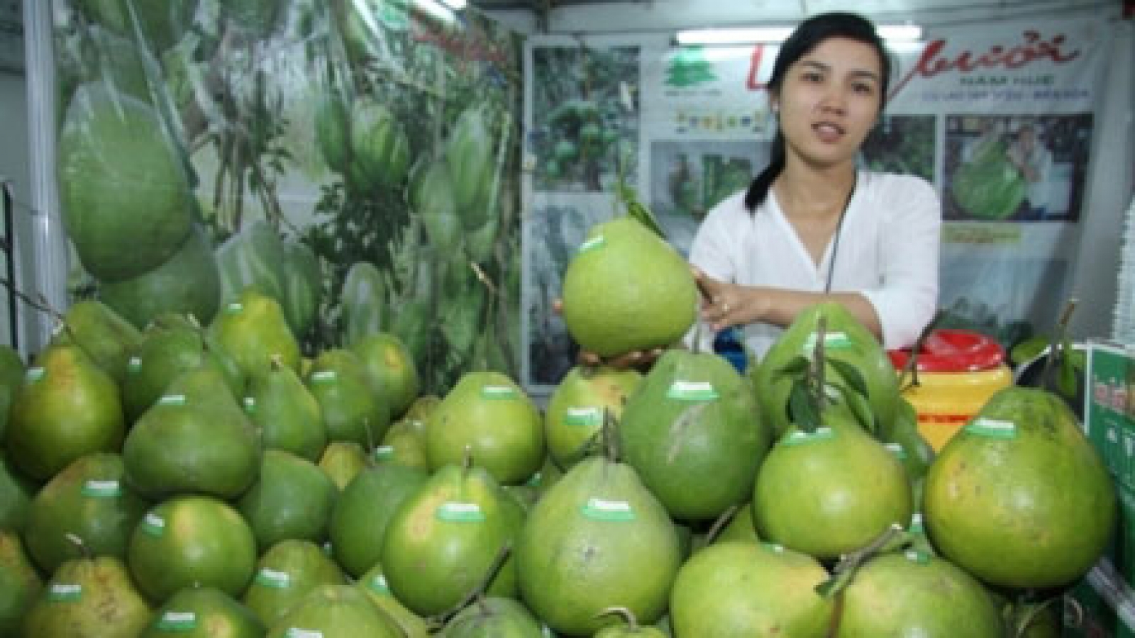 High air transport fees stymie fruit exports