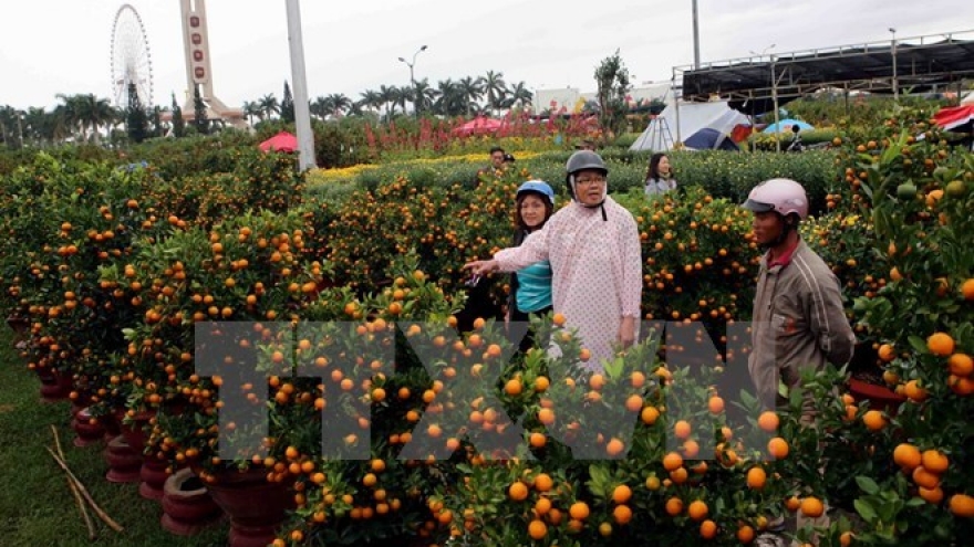 Ornamental plants - indispensable part of Tet