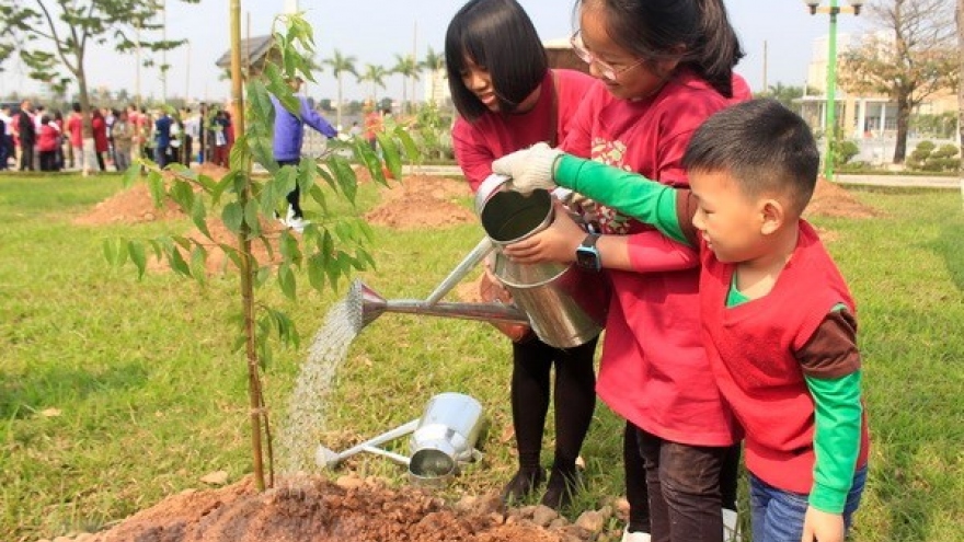 More Japanese cherry trees planted in Hanoi