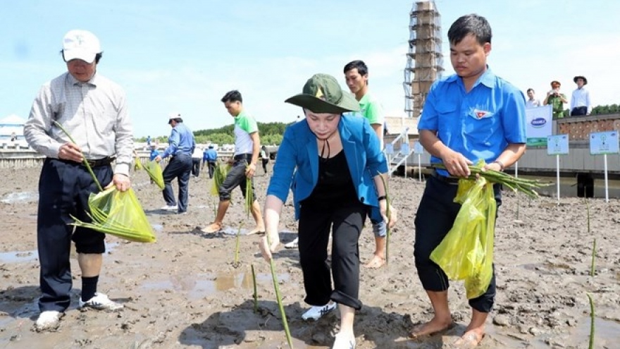 Trees planted at national trig point in Ca Mau