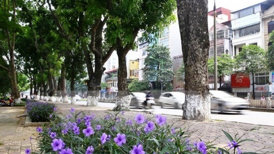 Government imposes fines for damaging trees