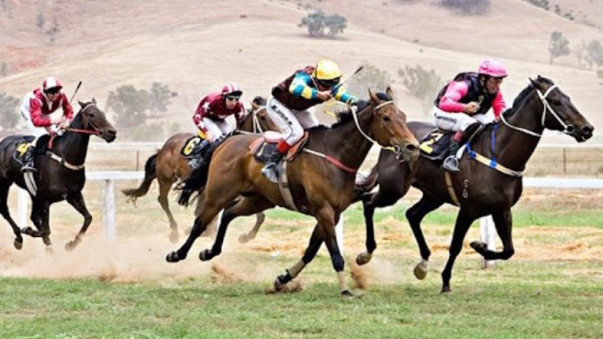 Firms bet on law change