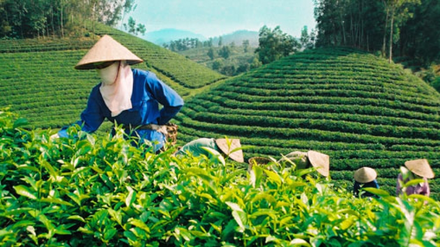Private sector encouraged in agricultural value chain