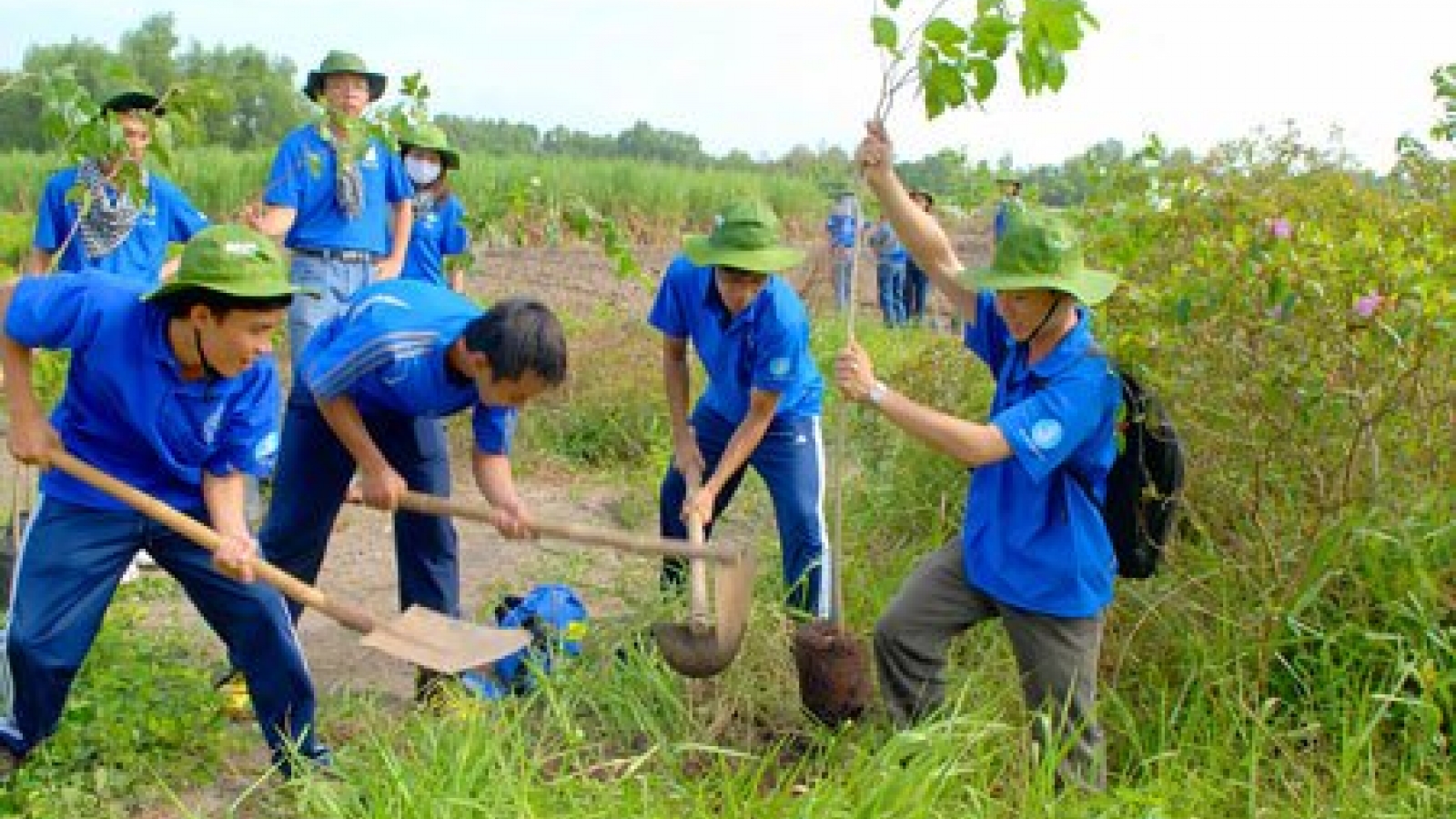 HCM City launches activities in response to World Environment Day