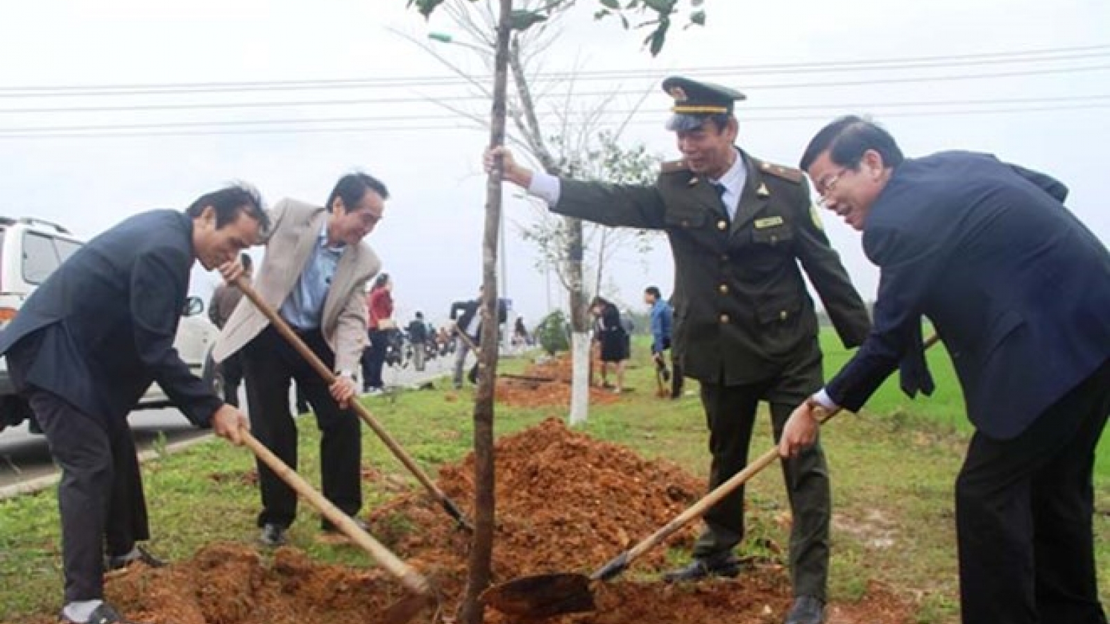 Thua Thien-Hue strives for forest coverage of 57% this year