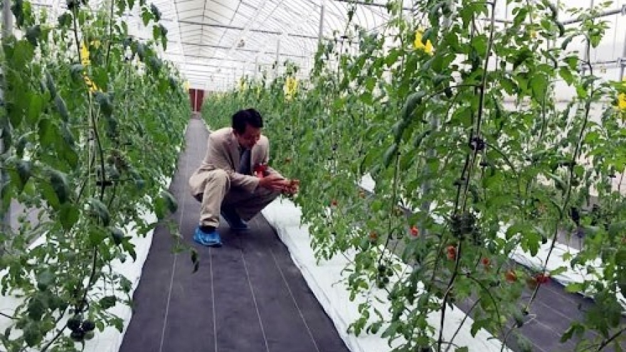 Smart farming a bright future for Vietnam