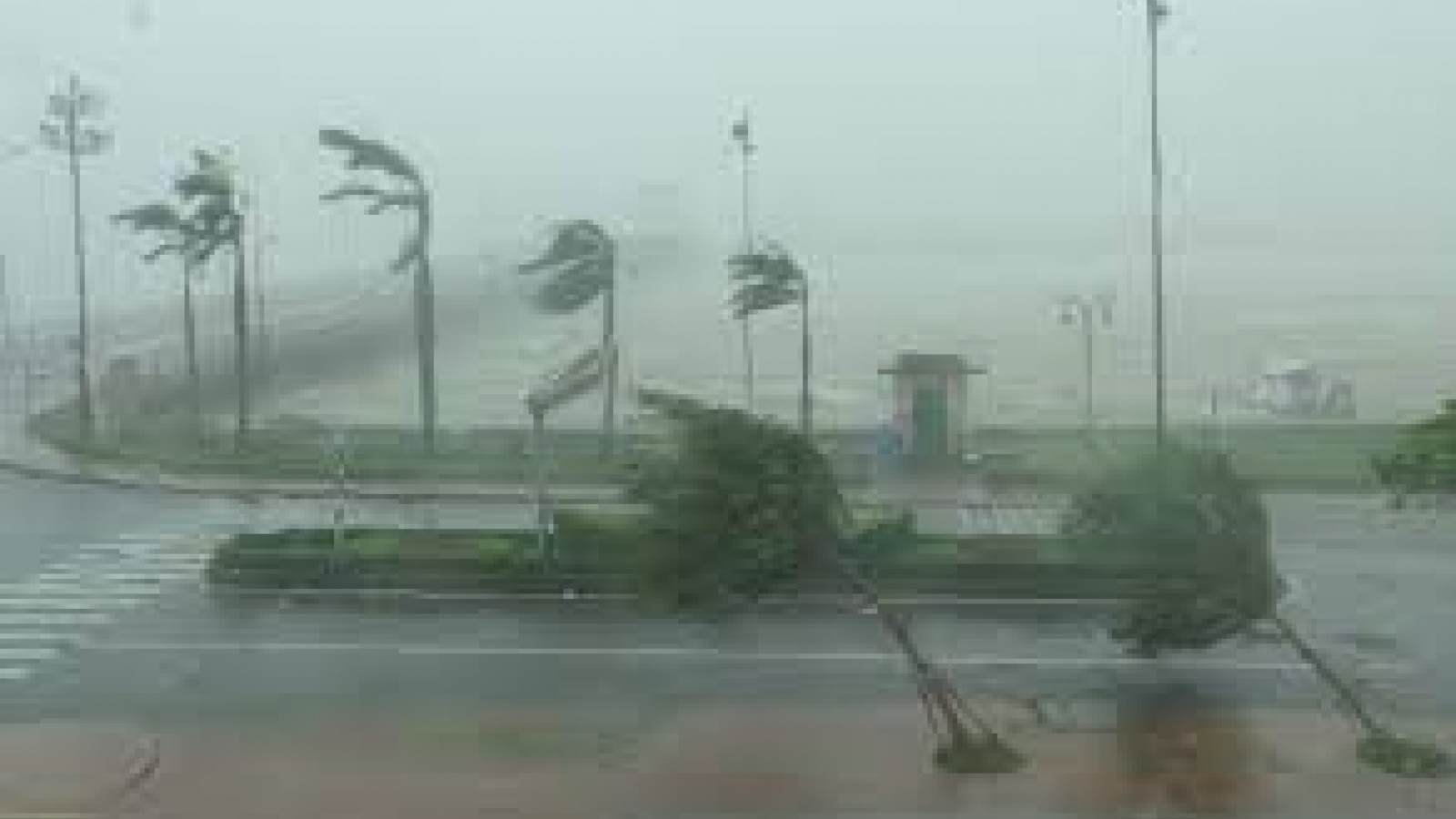 Tropical depression forecast to drench southern Vietnam this weekend
