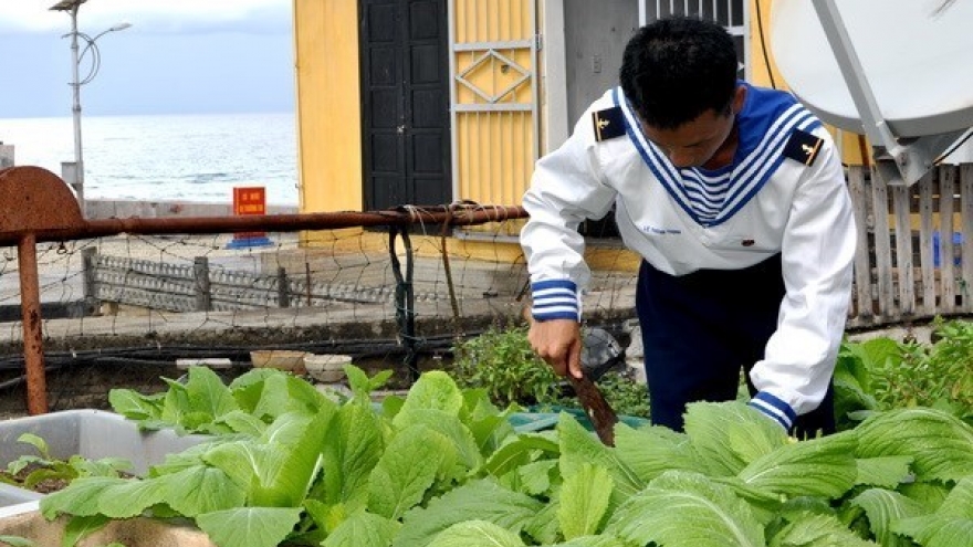 Programme calls for practical support for Truong Sa people