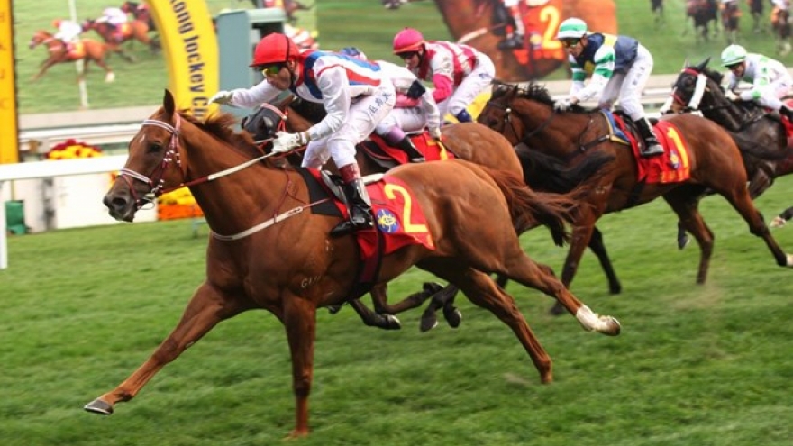 New 70-ha racecourse opens in Lam Dong