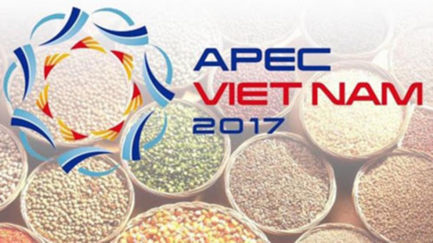 Vietnam continues priorities of APEC Year 2017
