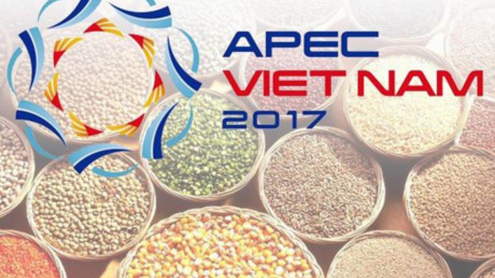 Foreign experts hail Vietnam’s role in APEC 2017