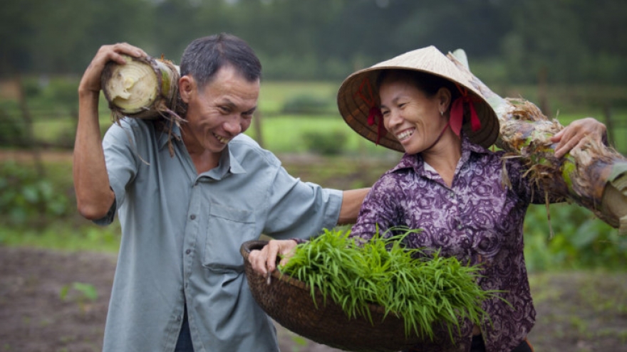 Vietnam achieves high in gender equality