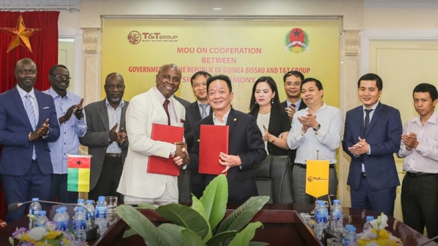 T&T Group to import raw cashews from Guinea Bissau
