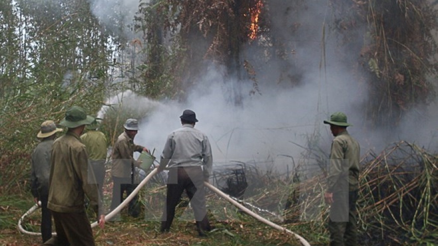 
        Central Highlands region works to prevent dry-season forest fire
                              