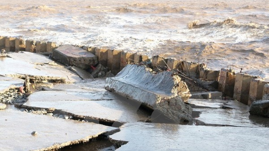 Bac Lieu approves measures to fix eroded sea dykes