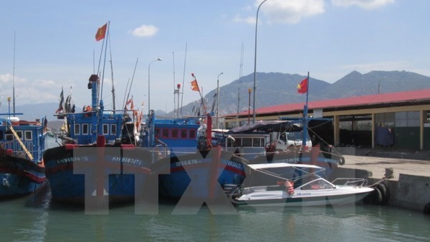 Thanh Hoa develops fishery logistics fleet