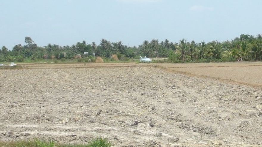 PM okays irrigation project in Mekong Delta