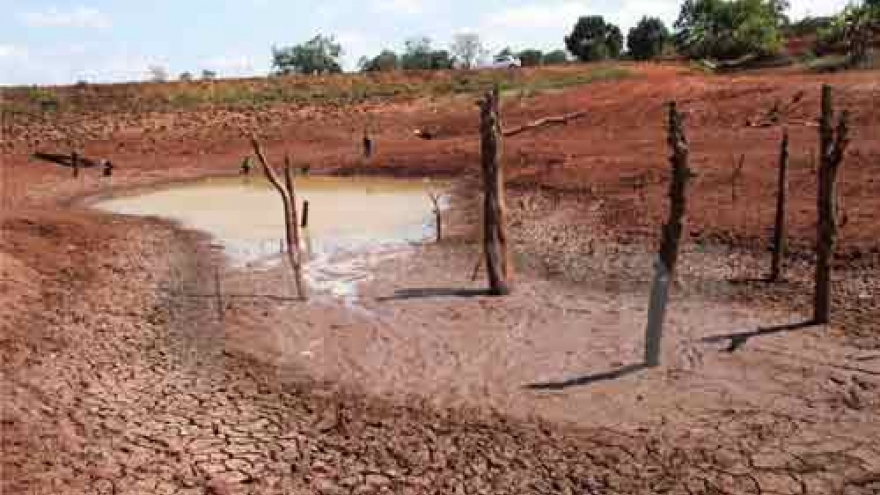 Int’l organisations to assist drought-affected localities