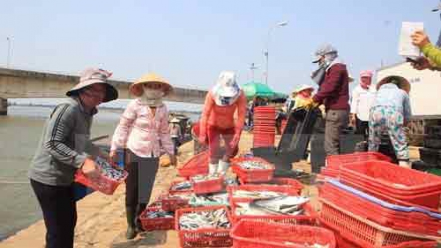 Numerous supports proposed for pollution-affected fishermen
