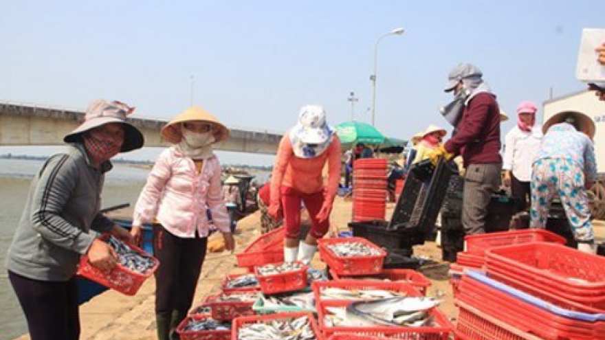Deputy PM urges completing compensation for fishermen