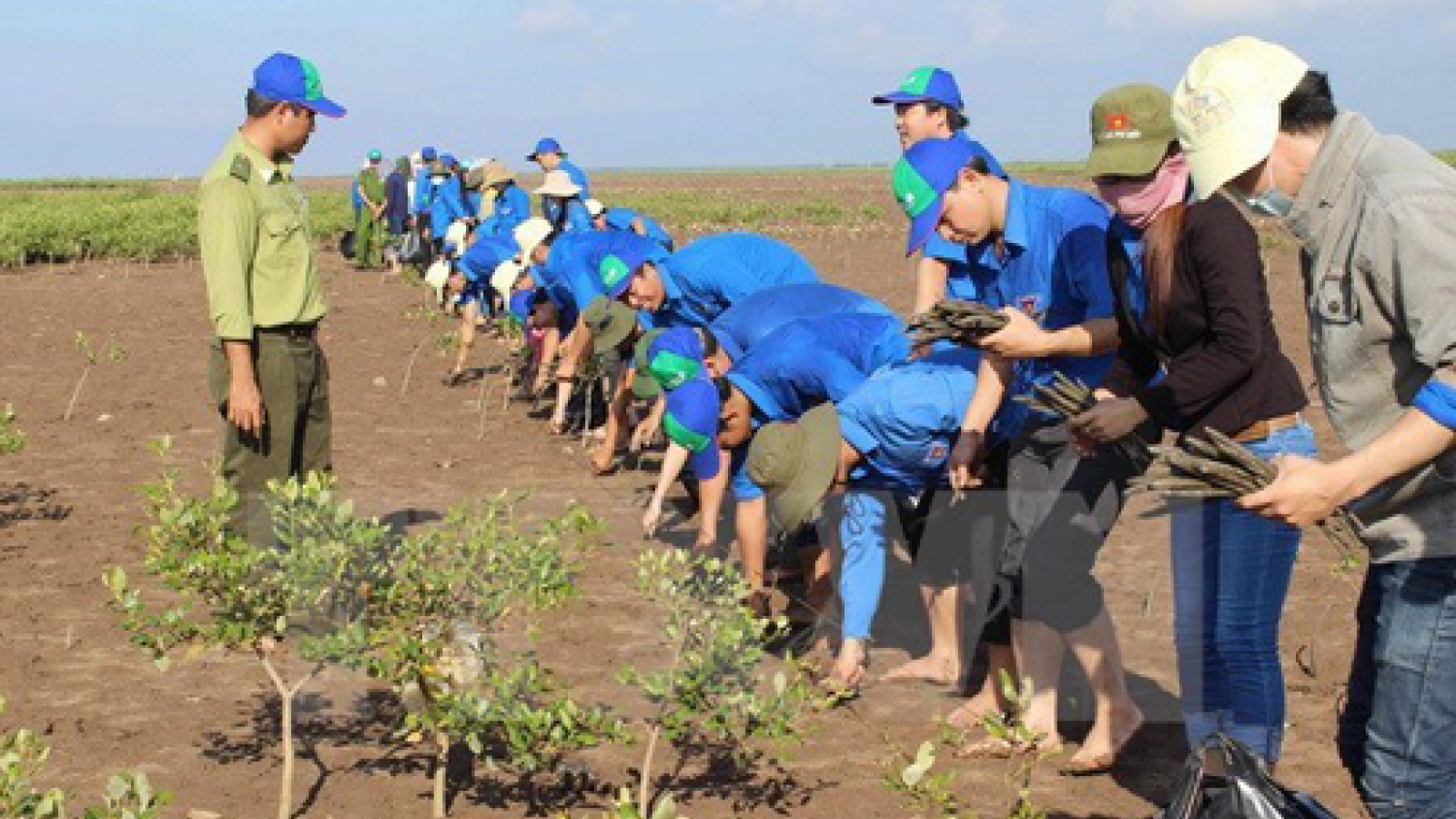 Foreign NGO aid poured into Ben Tre