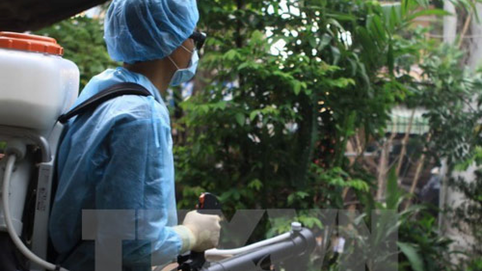 HCM City asked to contain Zika spread
