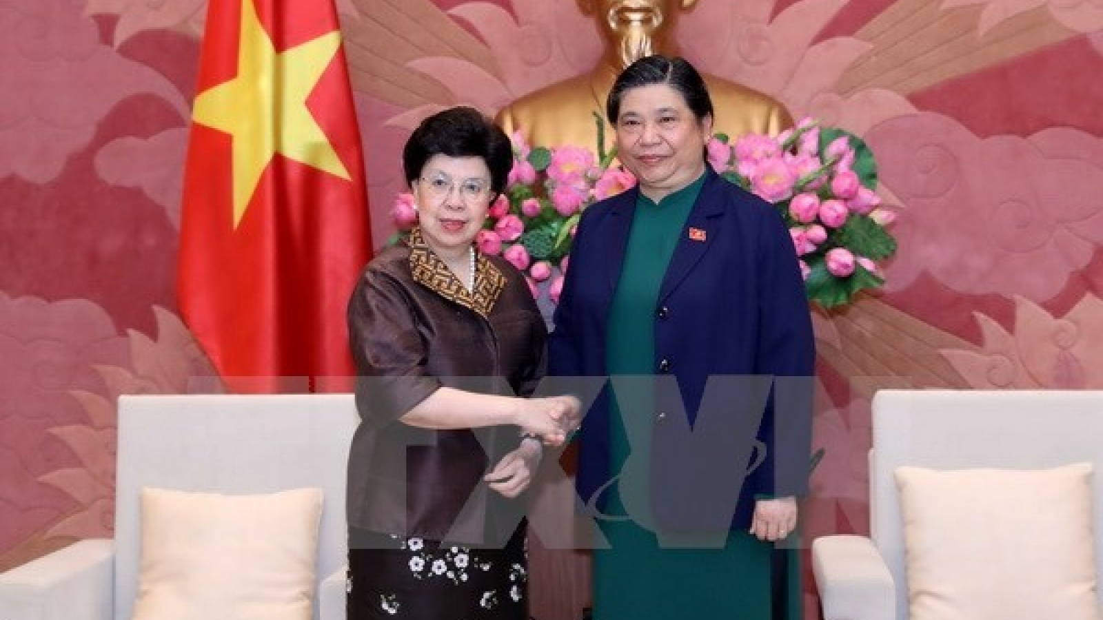 WHO called to help Vietnam improve public health care