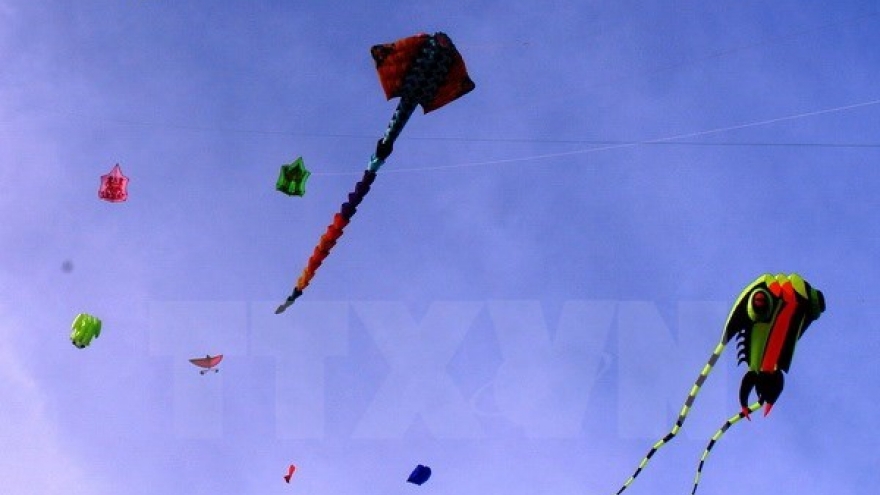 Annual kite fest takes wing in Vung Tau