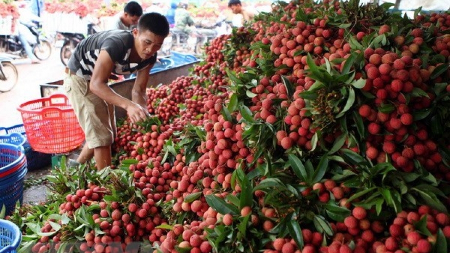 Vietnam’s fruit, veggie exports exceed US$2 billion in H1