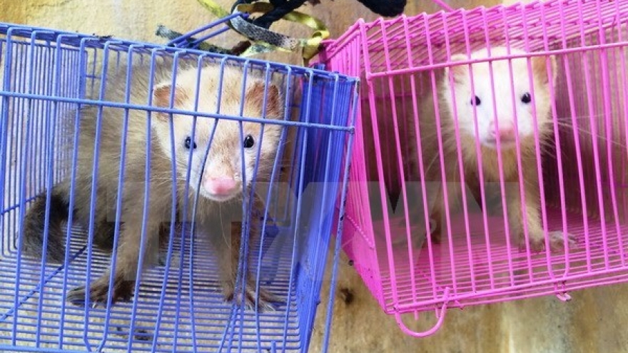 Vietnam suspends CITES-listed species trade with Laos