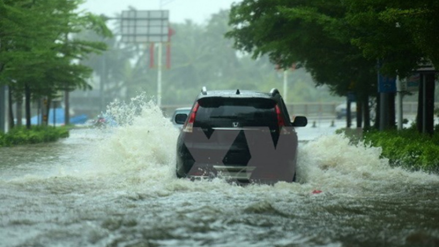 Typhoon Sarika causes severe losses for Philippines, China