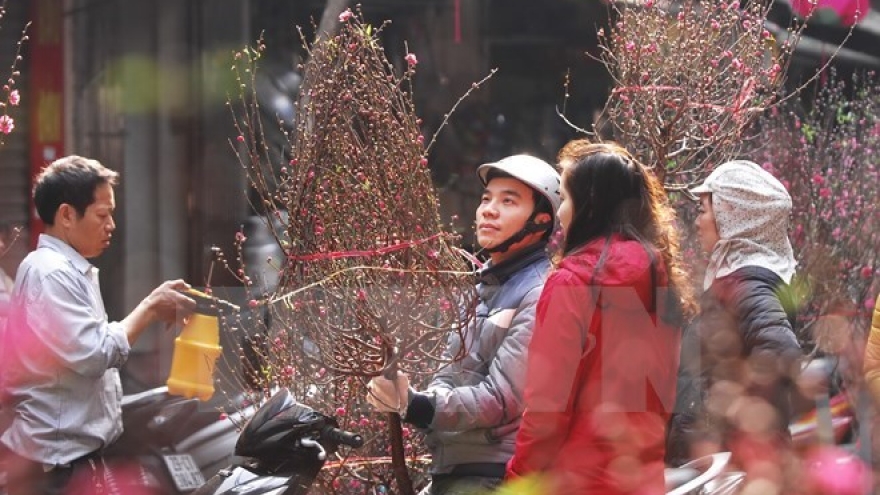 Lunar New Year – biggest traditional holiday in Vietnam