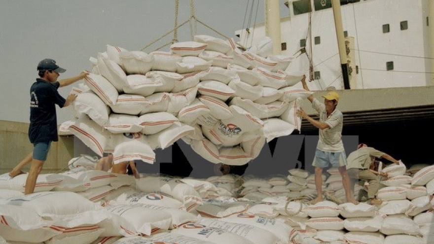 Policy changes needed to boost rice sector’s growth