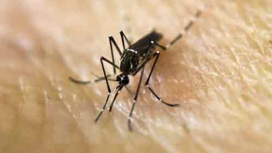 Singapore sprays residences as Zika expected to spread