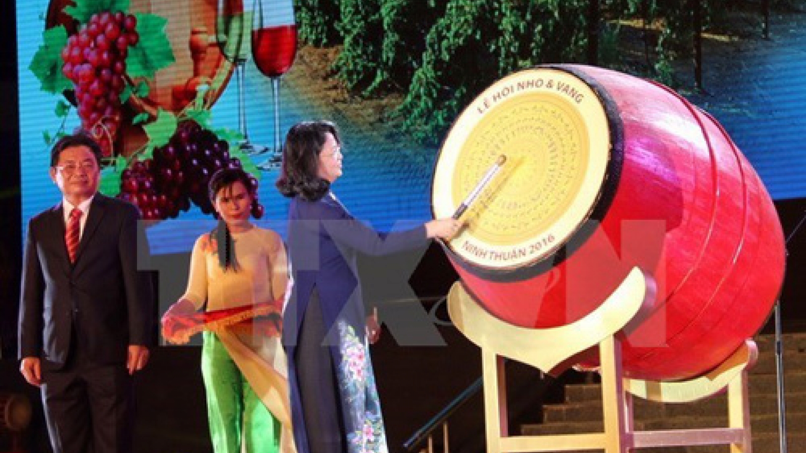 Grapes and Wine Festival opens in Ninh Thuan
