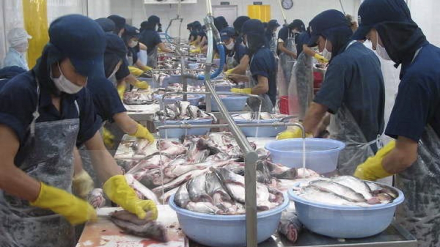 Tra fish sector needs strong brand name