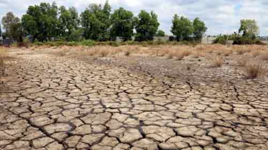 
        Organisations support farmers affected by drought
                              