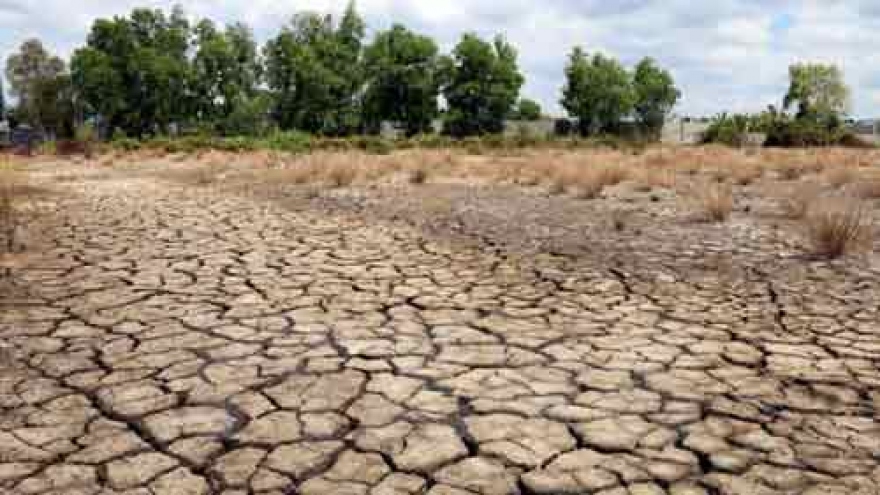 Organisations support farmers affected by drought