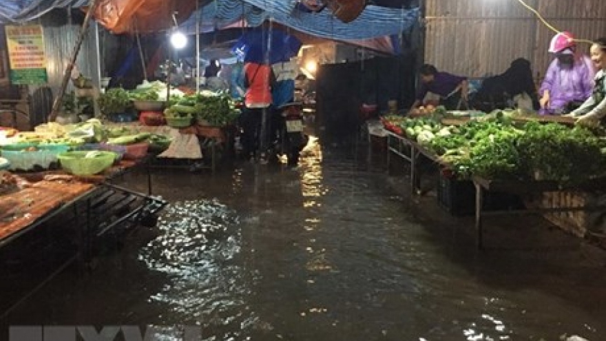 Red River Delta fights floods