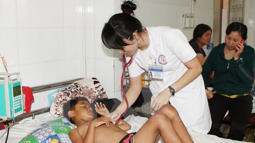 Dengue fever prevention in Gia Lai province inspected