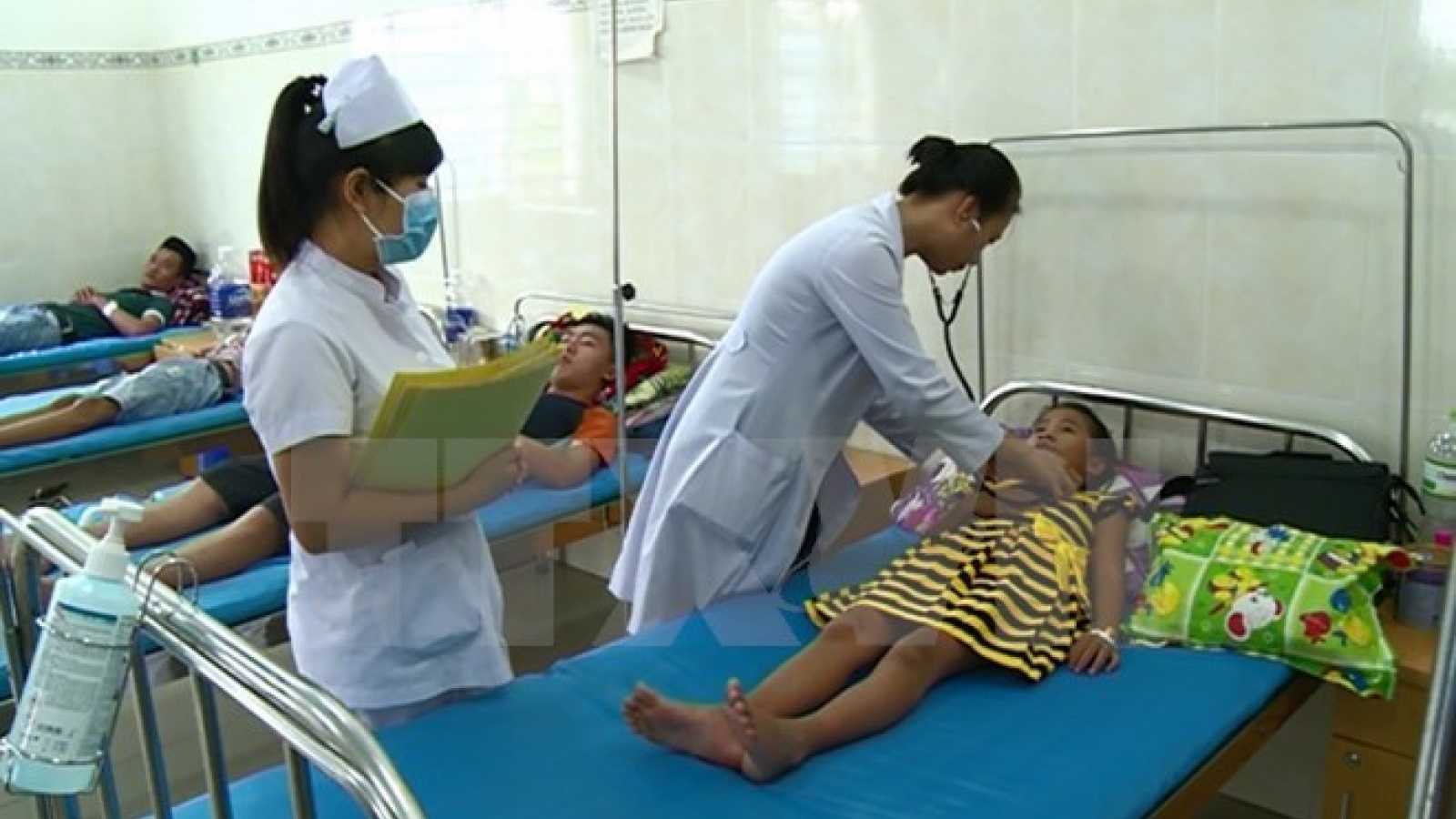 Health ministry urges proactive prevention of dengue fever