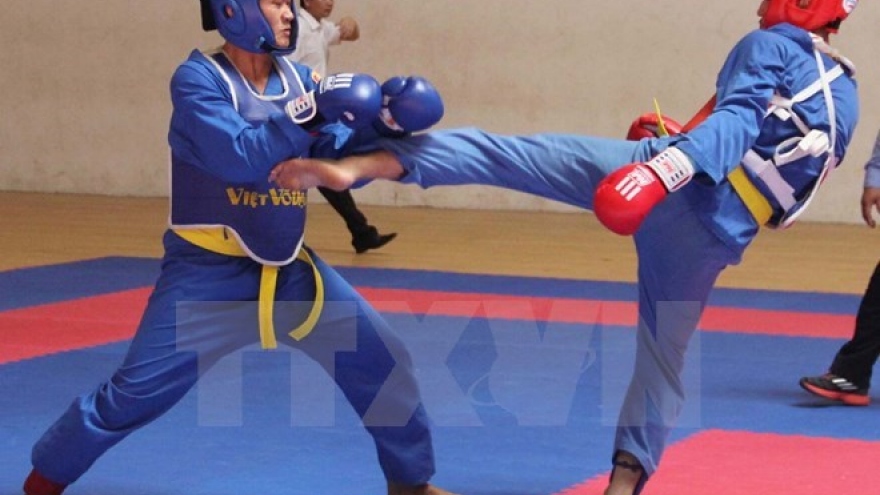 
        Vietnam tops traditional martial arts champs
                              
