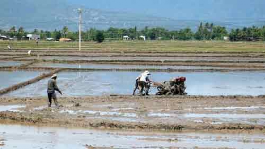 Vinh Long province invites investment in agriculture