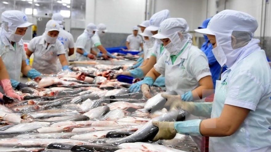 
        Sale of microbe-free tra fish permitted in Panama
                              