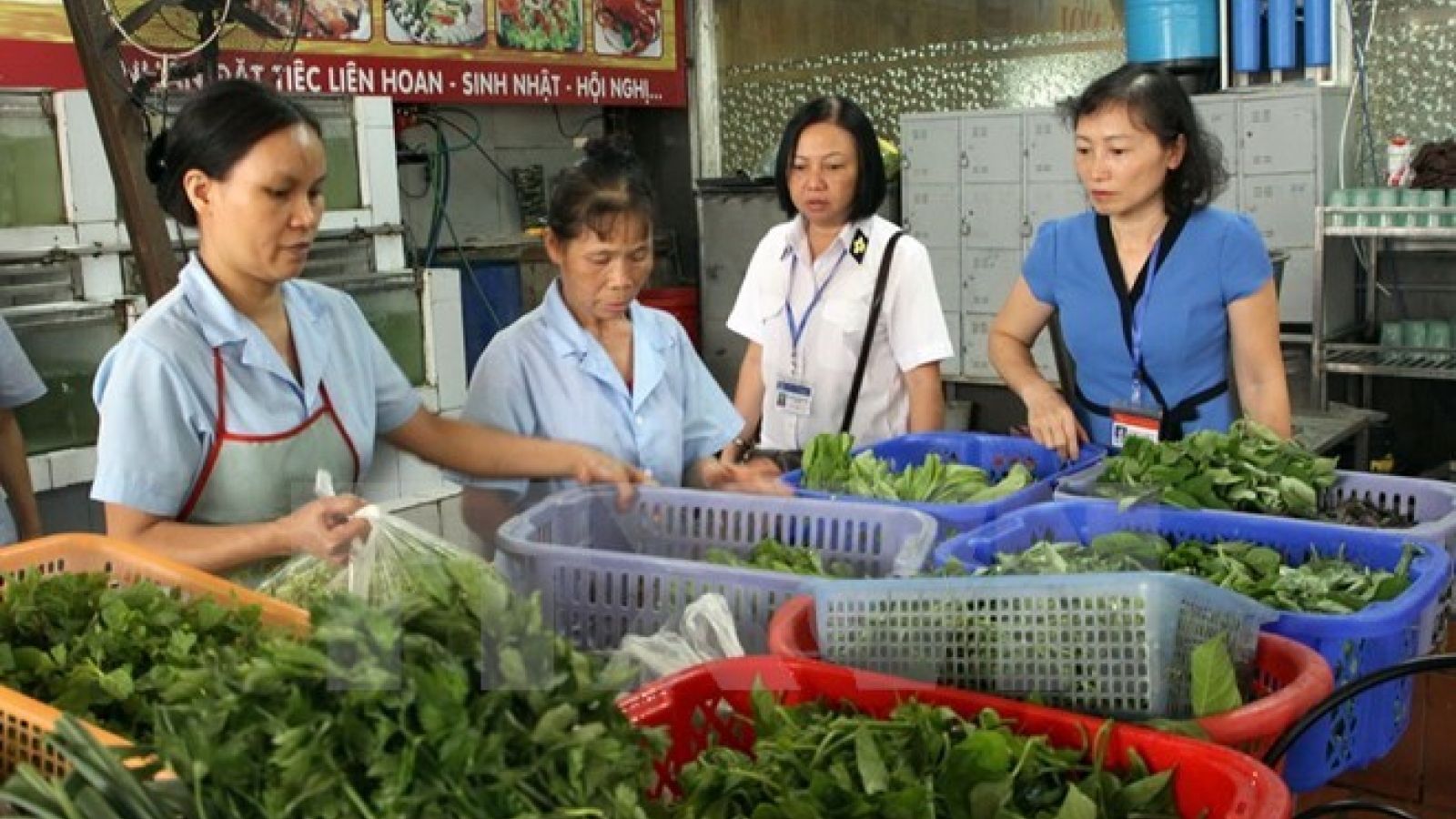 Hanoi unveils hotlines for food safety-related feedback