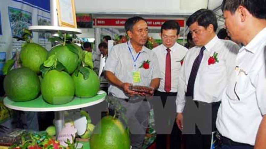Vietnam largest agriculture expo opens in HCM City 