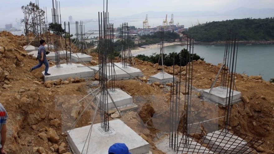 Harmonious tourism, environment protection urged in Son Tra Peninsula