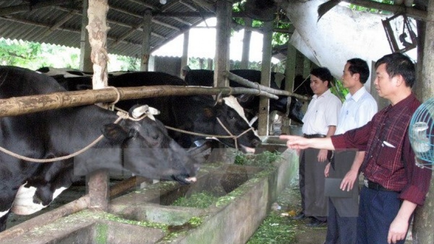 
        Vietnam-Belgium agricultural education cooperation successful
                              