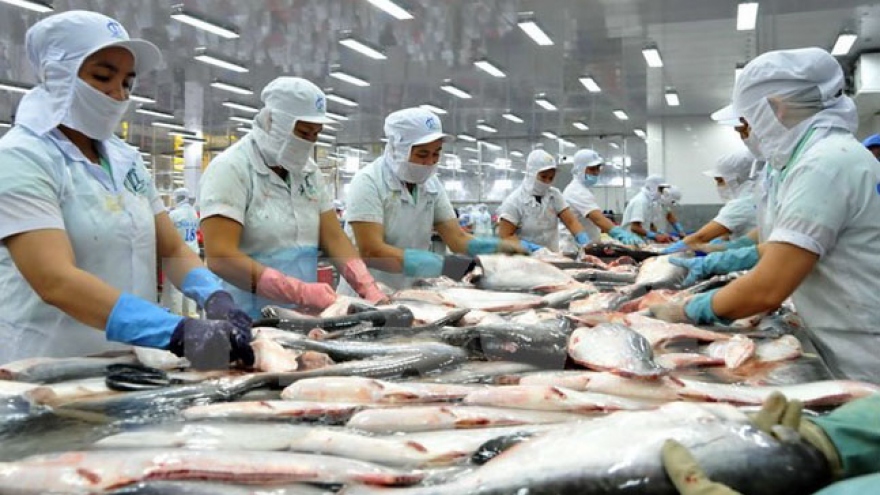 Tra fish industry advised to explore new markets