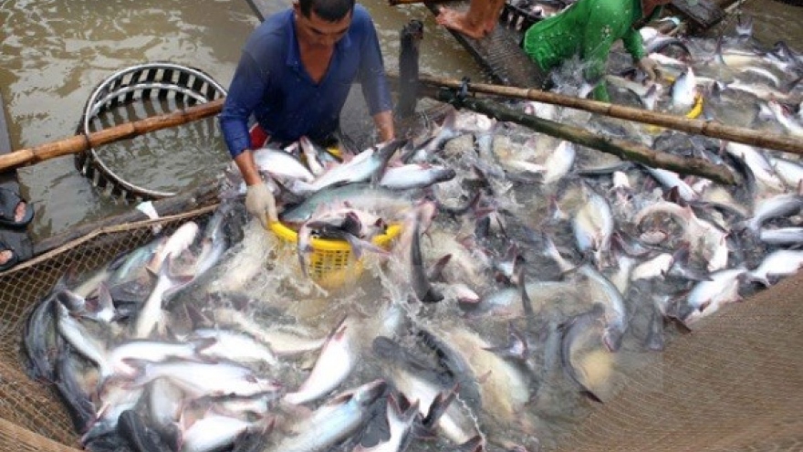 Fishery output exceeds 1 million tonnes in four months